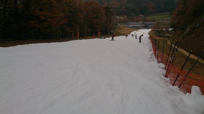 201311156