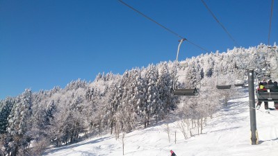 DSC_1195